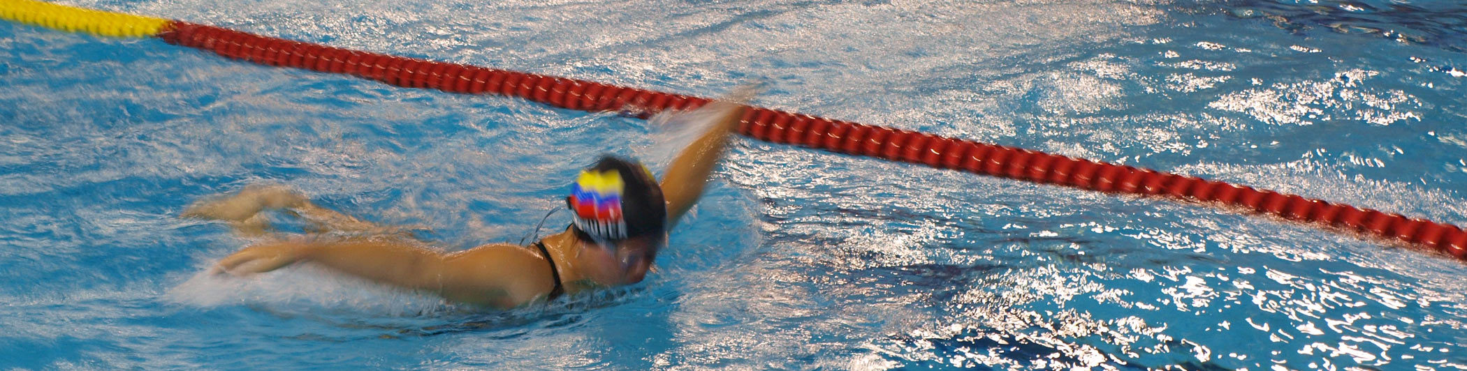 Down Syndrome International Swimming Organisation